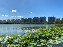 -南翔镇银翔湖公园