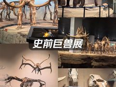 -大庆市博物馆