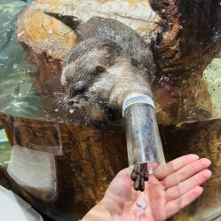 -Zoolung Zoolung动物主题公园(海信广场店)