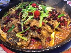 -老板恋上鱼(恒隆广场店)