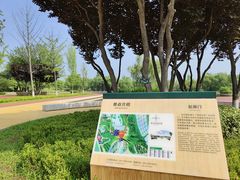 -西安浐灞国家湿地公园