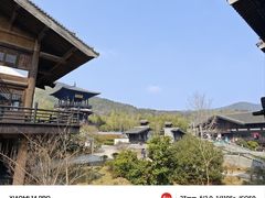 -大唐贡茶院
