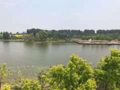 -东郊湿地公园