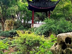 -上海醉白池公园