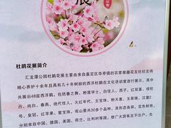 -汇龙潭