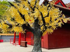 -青岩寺风景区
