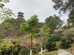 -中国沉香文化博物馆