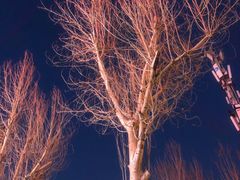 -胡记饭店(保工街店)