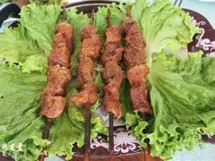 架子肉 红柳肉 芽面-欧雅清水湾生态园