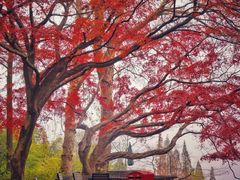 -莫干山风景区