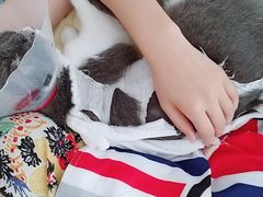 -佳怡动物医院·平价24小时·猫专科骨外科