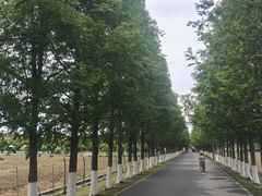 -嘉北郊野公园