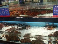 -尚海豆捞(乐虹坊店)