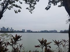 -顺峰山公园