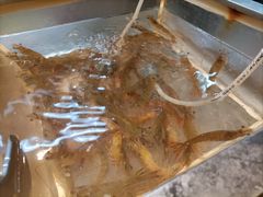 -天骄国际酒店·布拉格西餐厅(白石湖店)