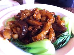 葱烧海参蹄筋-德缘烤鸭店(大栅栏店)