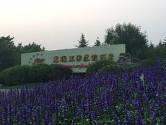 -大连发现王国度假酒店