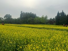 -北坞公园
