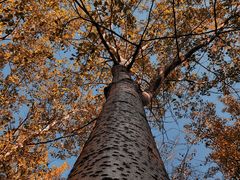 -森林公园(尖草坪区)