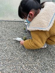 -萌宠亲子动物乐园(槐房万达店)