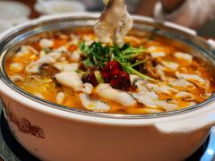 肥肠鱼-龙梅肥肠鱼(明瓦廊店)