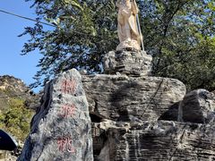-大岭沟猕猴桃谷风景区