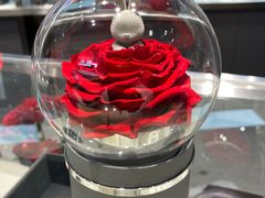 -ROSEONLY诺誓(广州K11店)
