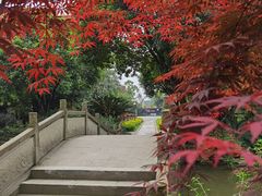 -两河城市森林公园