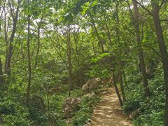 -大岭沟猕猴桃谷风景区