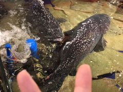 -79号渔船海鲜饭店(华强北店)