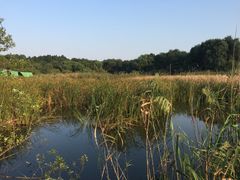 -西湖风景区-江洋畈生态公园