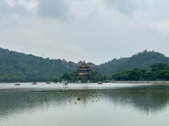 -顺峰山公园