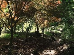 -四明山国家森林公园