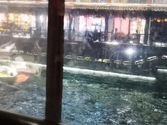 -小厨娘金榜题名(夫子庙秦淮河店)