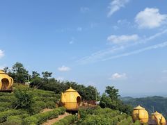 -长沙黑麋峰国家森林公园