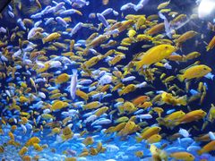 -成都浩海立方海洋公园