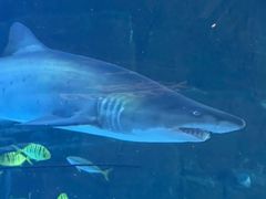 -成都浩海立方海洋公园