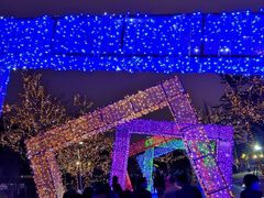 -飞凤山奥体公园