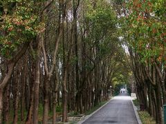 -同里国家湿地公园