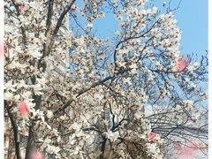-必胜客(兴隆店)