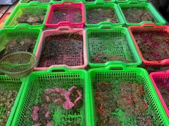 -众味海鲜大排档·活海鲜·潮汕味(南澳店)