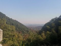 -韬光茶庵