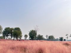 -汉长安城未央宫国家考古遗址公园