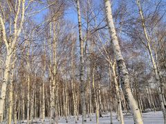 -长春市南湖公园