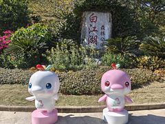 -广州白江湖森林公园