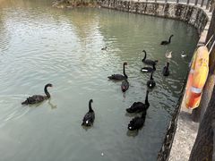 -宁波野生动物园
