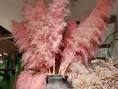 -春暖花开(西溪店)