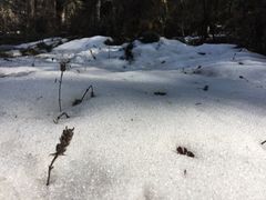 -硗碛藏寨·神木垒景区