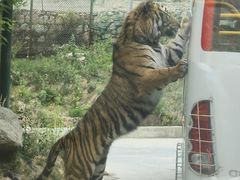 -栾川竹海野生动物园