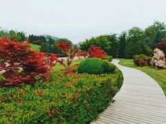 -棒棰岛宾馆景区